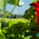 Steger Vendégház 4*