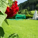 Steger Vendégház Wagrain