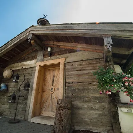 Steger Guest house