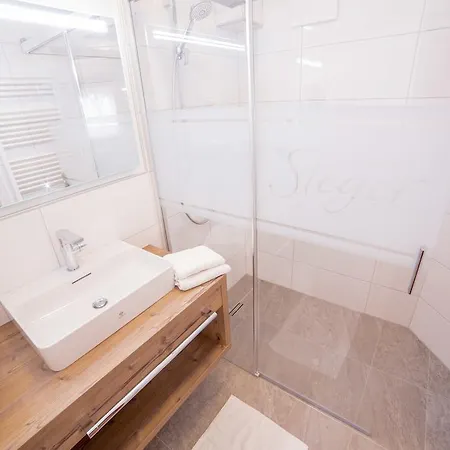 Steger Ваграйн