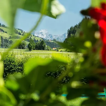 Steger Гостевой дом 4*