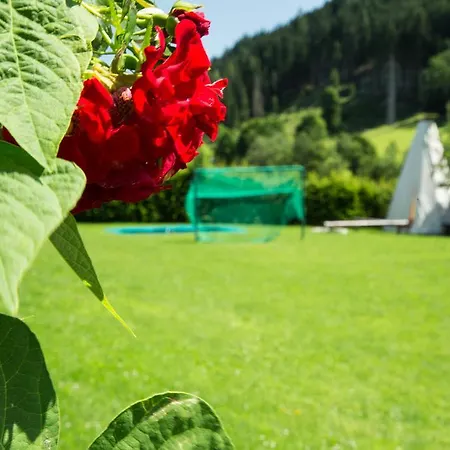 Steger Гостевой дом Ваграйн