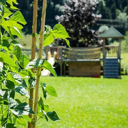 Steger Гостевой дом 4*