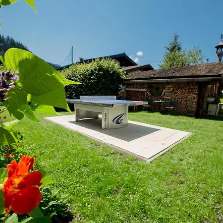 Affittacamere Steger Wagrain